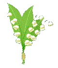 MUGUET