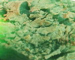 Chrysoprase